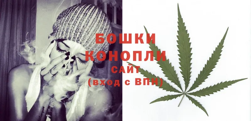 где купить наркотик  Бокситогорск  Бошки Шишки SATIVA & INDICA 